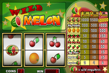 Wild melon